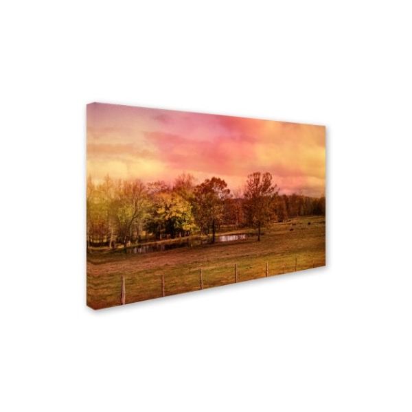 Jai Johnson 'Autumn At The Cattle Farm' Canvas Art,16x24